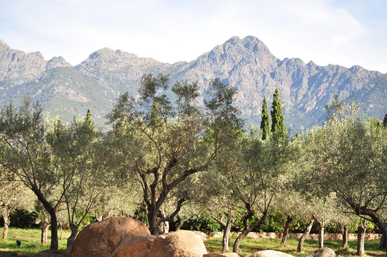 Domaine Codaleone Serriera  Luaran gambar