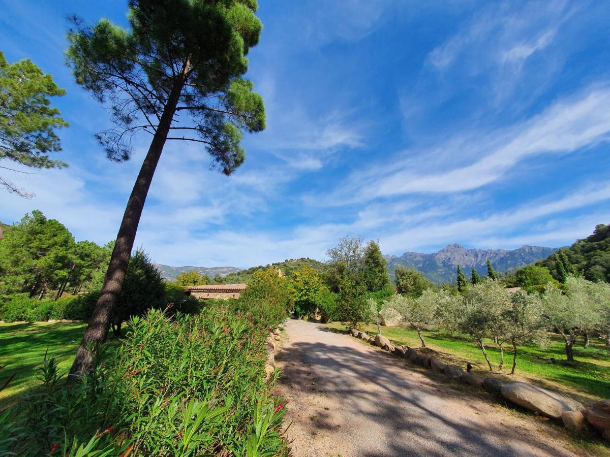 Domaine Codaleone Serriera  Luaran gambar