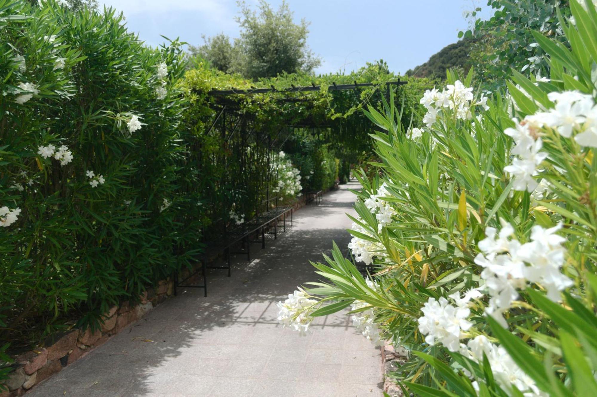 Domaine Codaleone Serriera  Bilik gambar